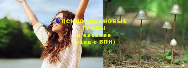 дживик Белоозёрский