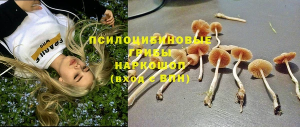 первитин Каменск-Шахтинский